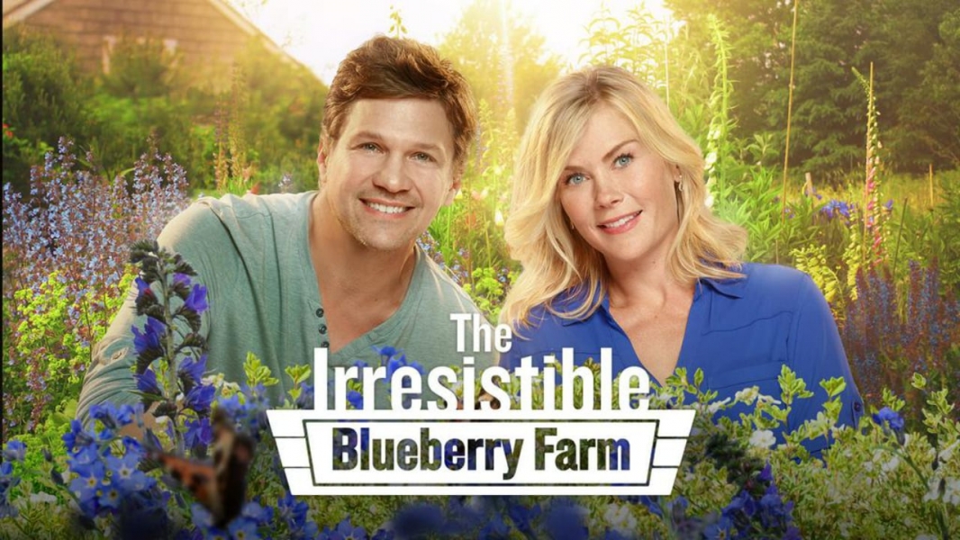 The Irresistible Blueberry Farm